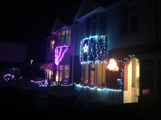 xmas house pic 1